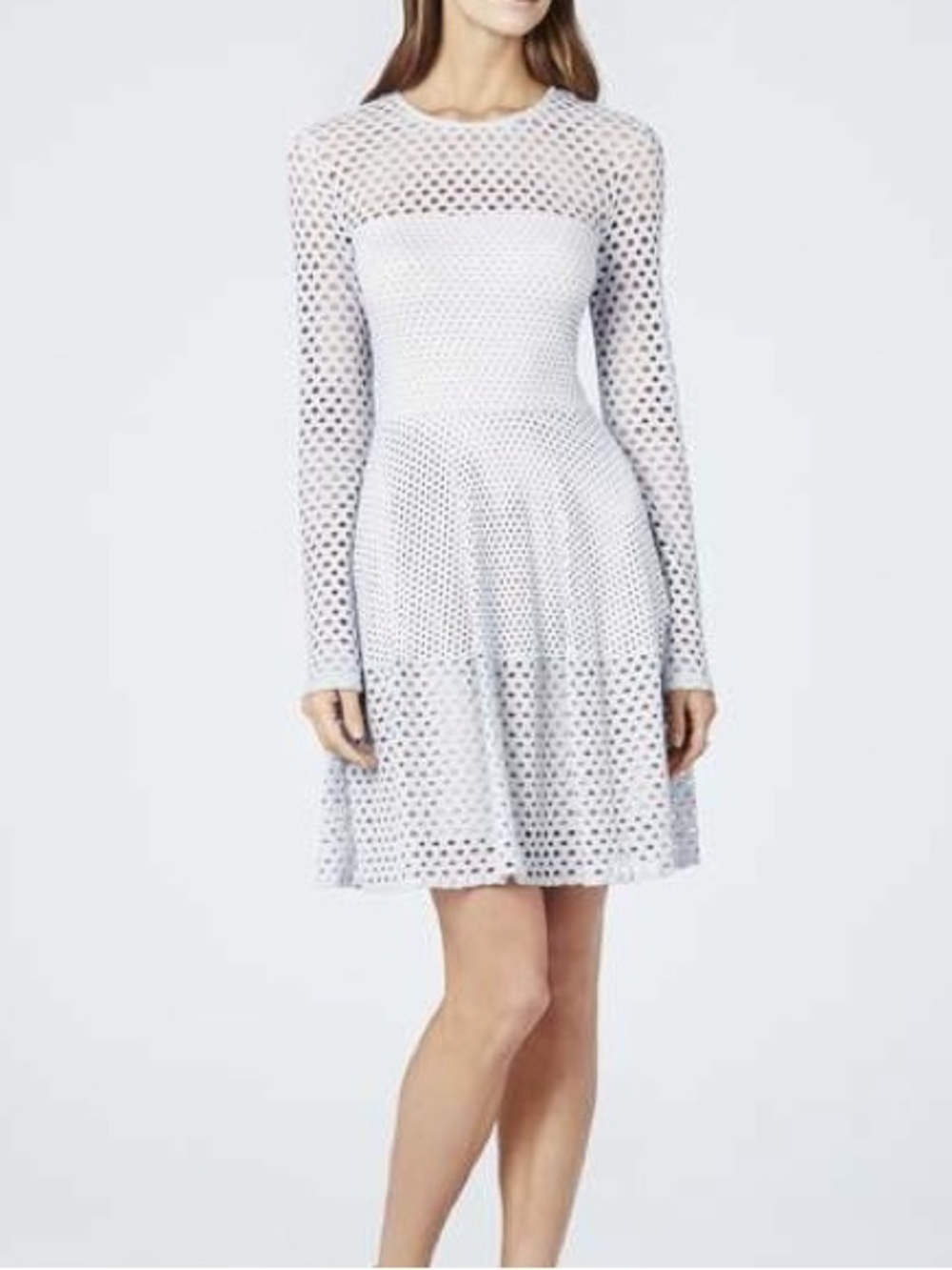 BCBGMaxAzria Baby Blue Long-Sleeve Eyelet Fit & Flare Dress